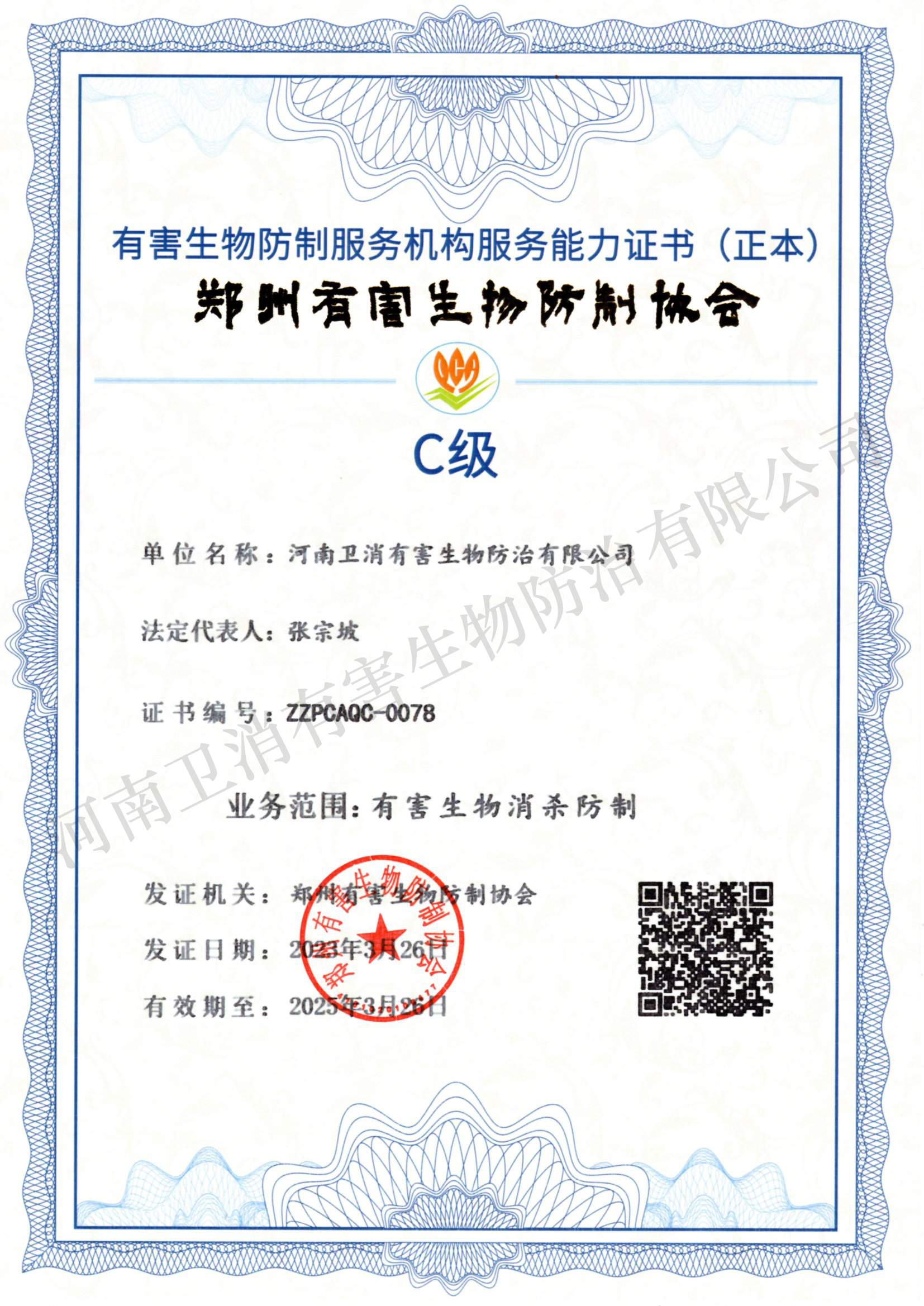 �к���������Y�|�C